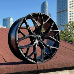 Tes-x26